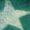 Icon of animal