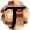 Icon of animal